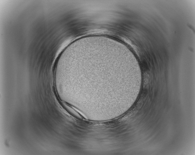 X0000097801467200804110911