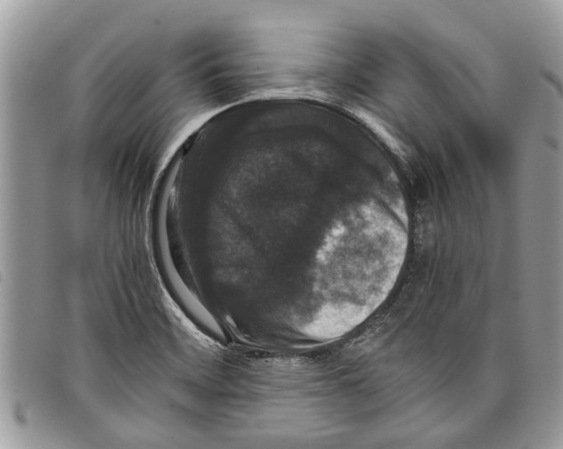 X0000097801468200804110911