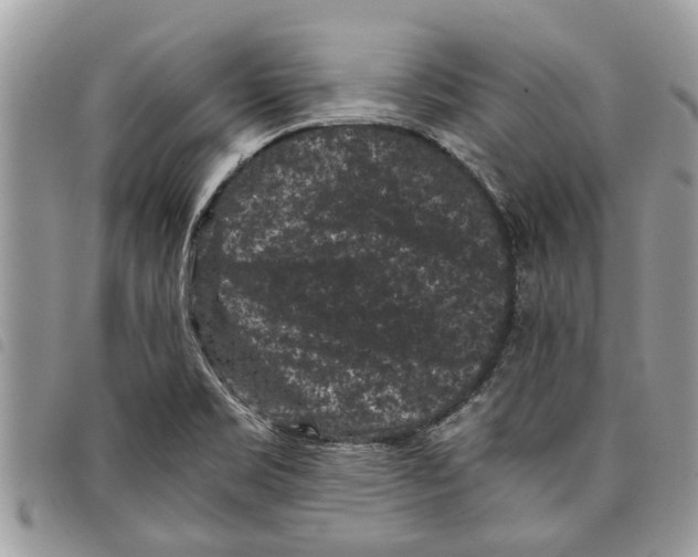 X0000097801469200804110911