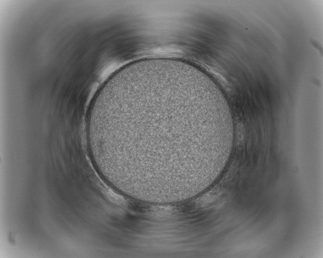 X0000097801470200804110911