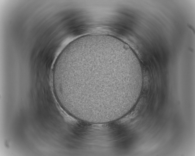 X0000097801478200804110911