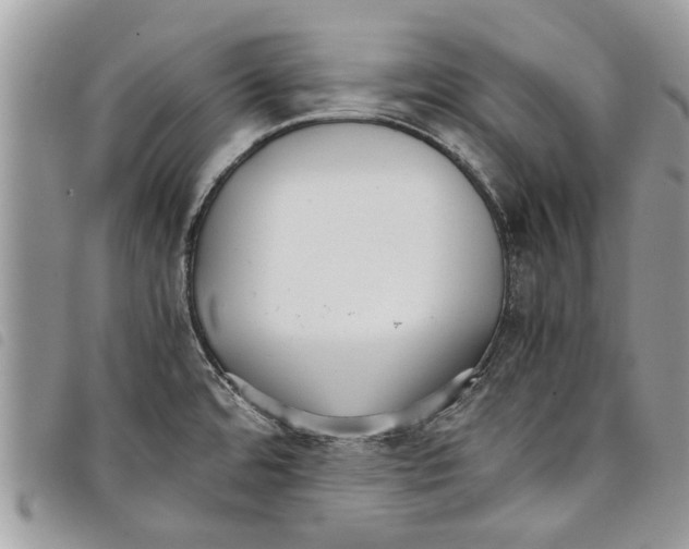 X0000097801480200804110911