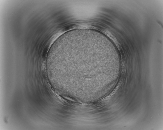 X0000097801481200804110911