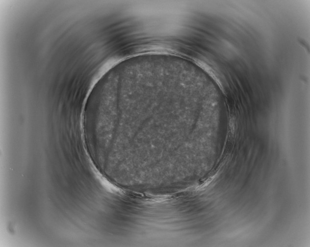 X0000097801482200804110911