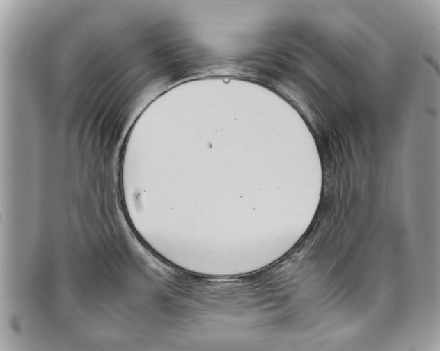 X0000097801483200804110911