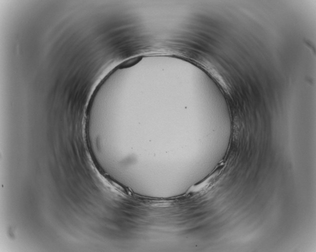 X0000097801484200804110911