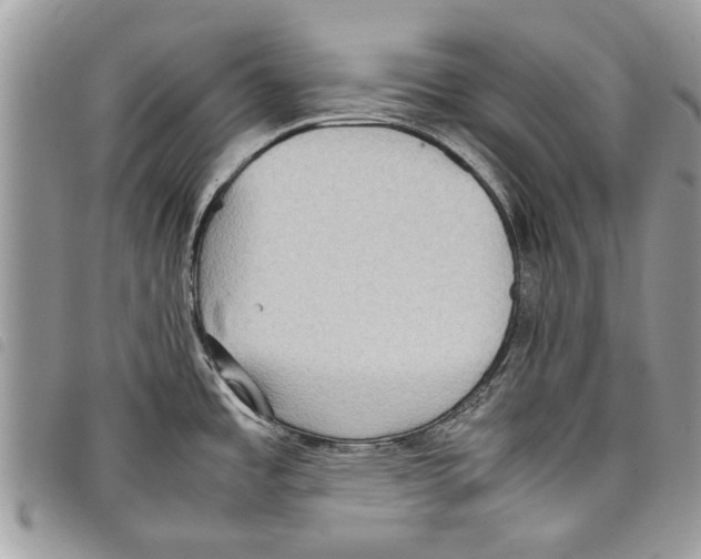 X0000097801485200804110911