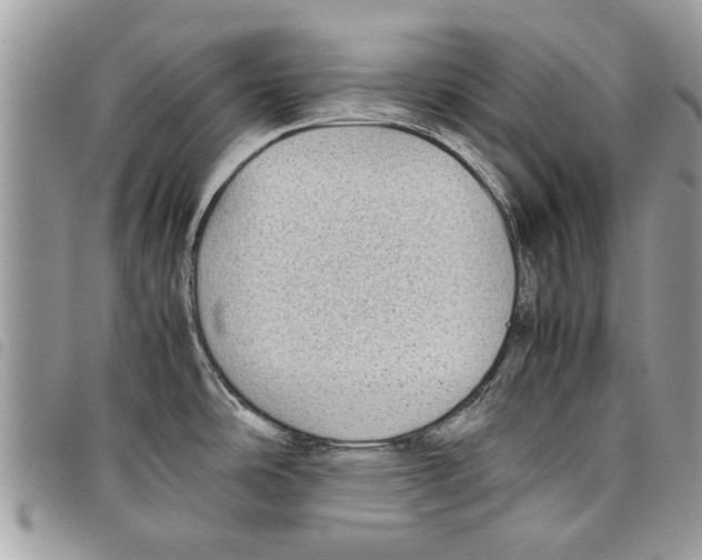 X0000097801486200804110911