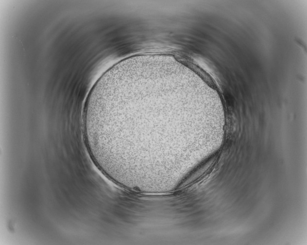 X0000097801487200804110911