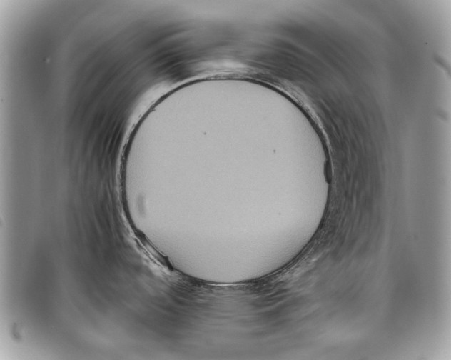 X0000097801488200804110911