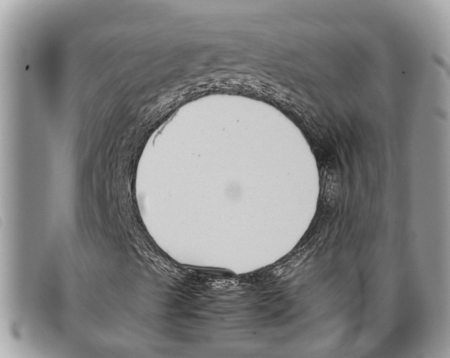 X0000097801489200804110910