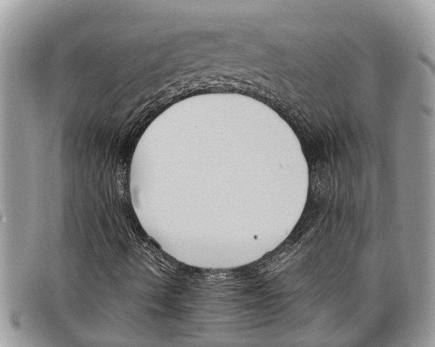 X0000097801490200804110910