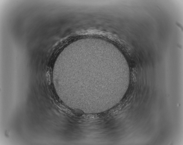 X0000097801493200804110910