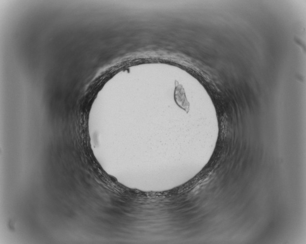 X0000097801494200804110910