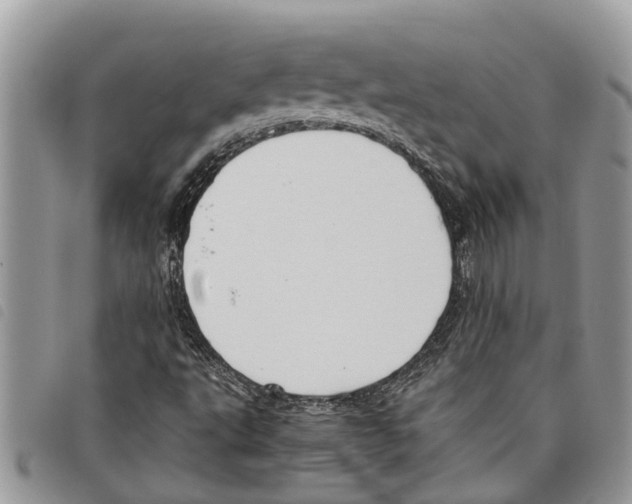 X0000097801495200804110910