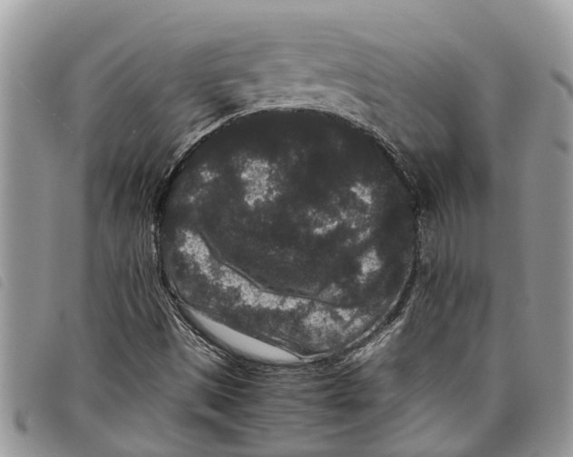 X0000097801497200804110910