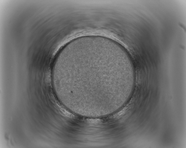 X0000097801498200804110910