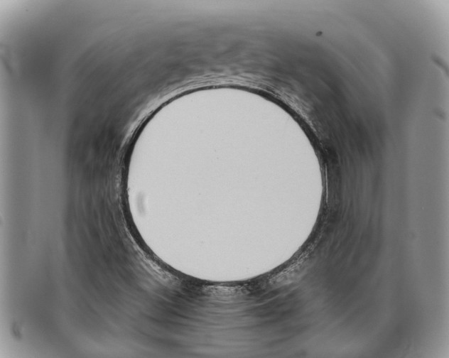 X0000097801500200804110910