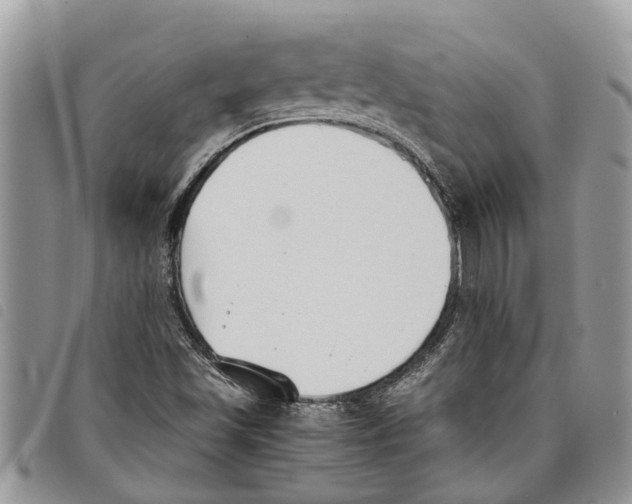 X0000097801501200804110910