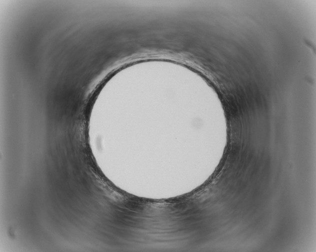 X0000097801502200804110910