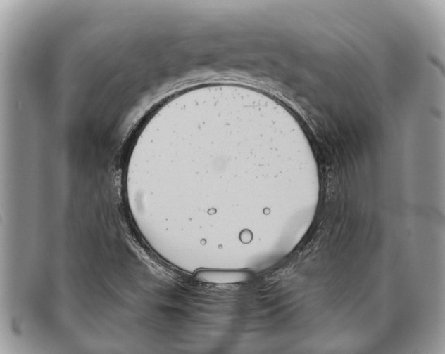 X0000097801503200804110910