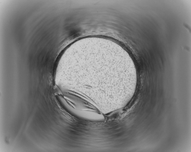 X0000097801505200804110910