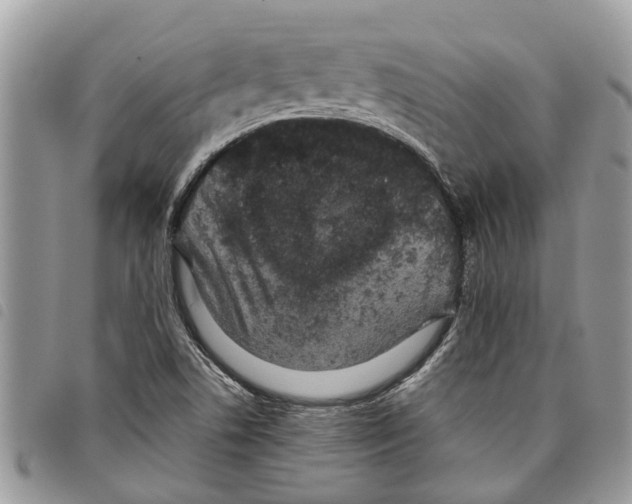 X0000097801506200804110910