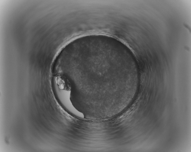 X0000097801508200804110910