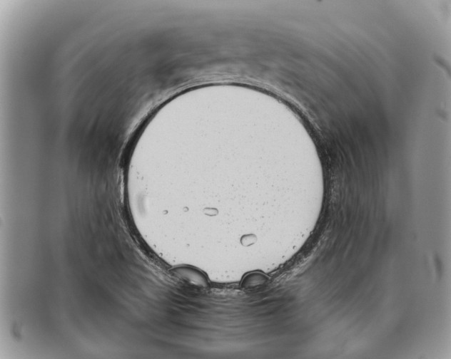 X0000097801509200804110910