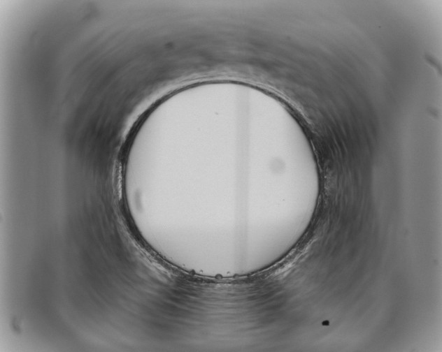 X0000097801510200804110910