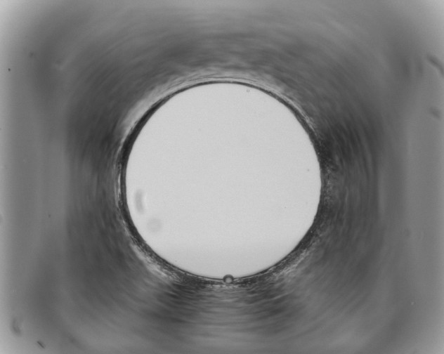 X0000097801511200804110910