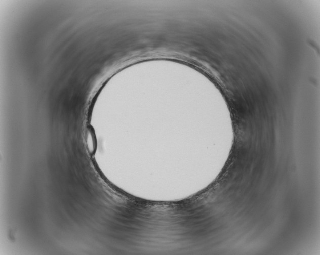 X0000097801512200804110910