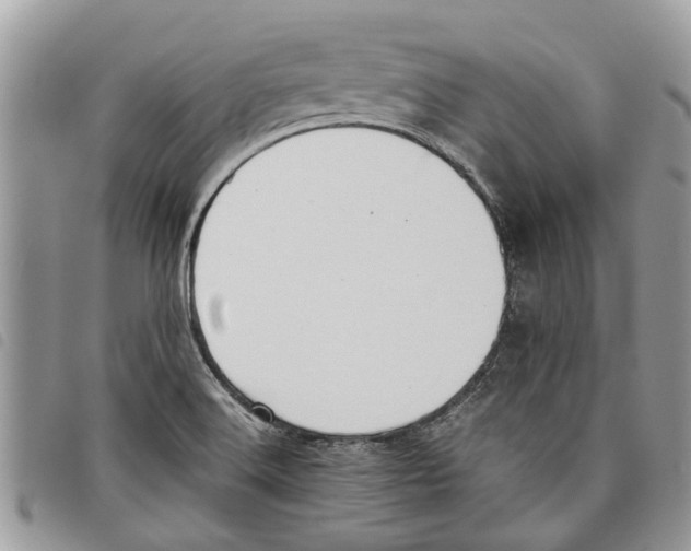 X0000097801516200804110911