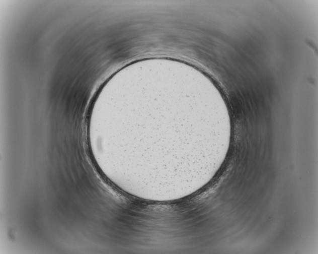 X0000097801517200804110911