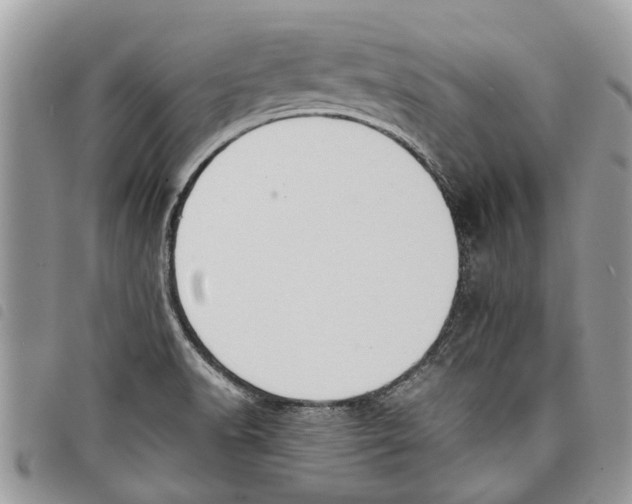 X0000097801518200804110911