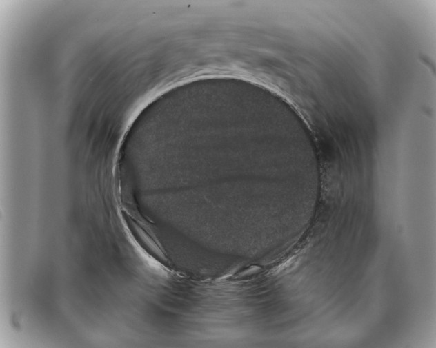 X0000097801519200804110911