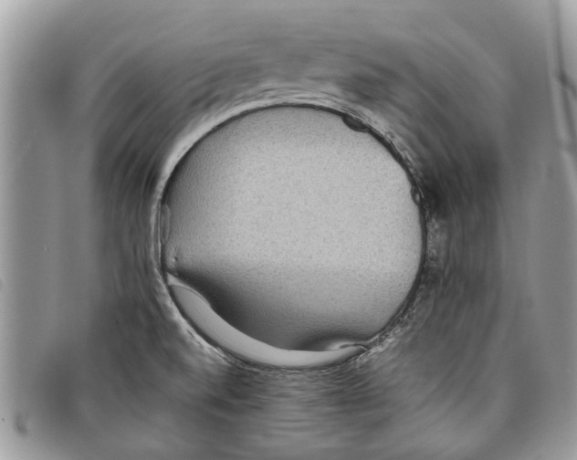 X0000097801520200804110911