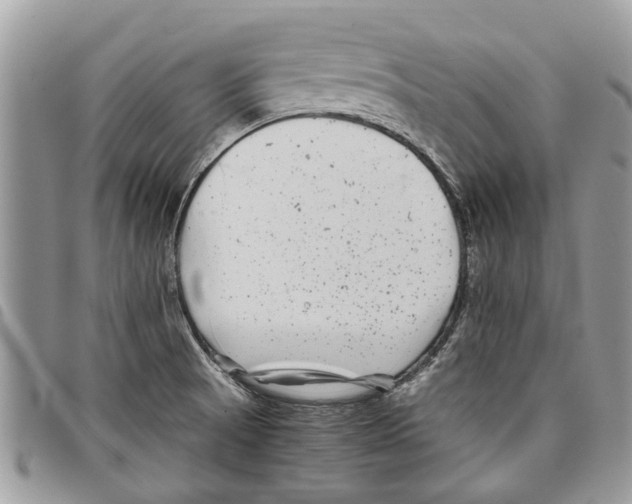 X0000097801521200804110911