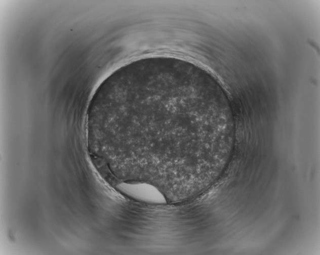 X0000097801522200804110911