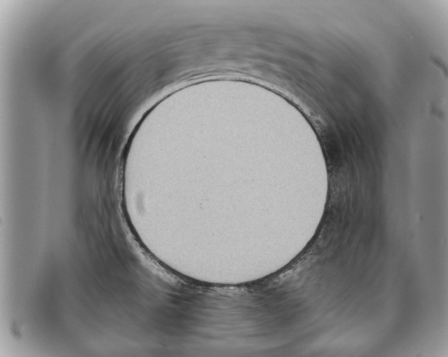 X0000097801526200804110911