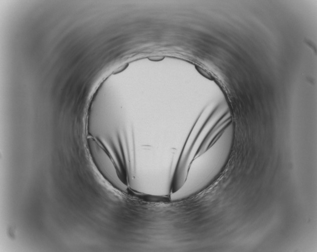 X0000097801528200804110911