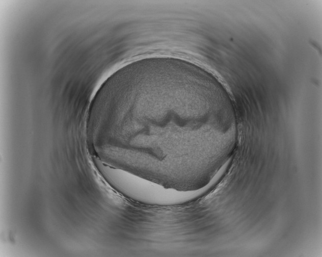 X0000097801530200804110911