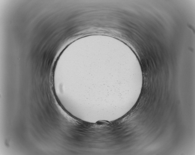 X0000097801531200804110911