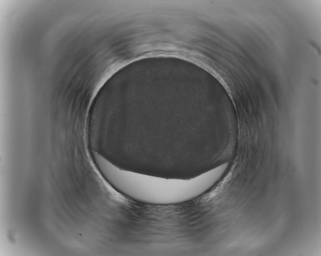 X0000097801533200804110911