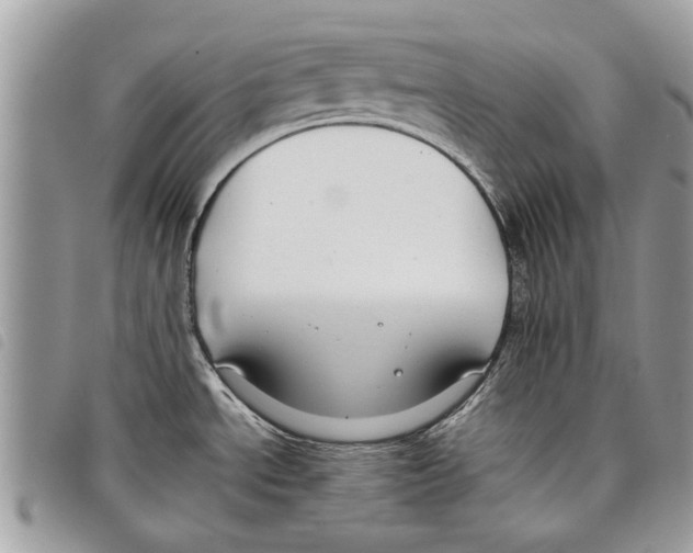 X0000097801534200804110911