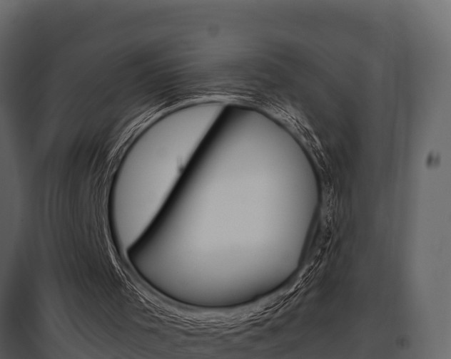 X0000097810001200803140809