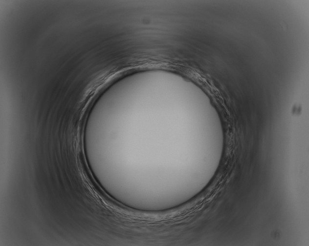 X0000097810002200803140809