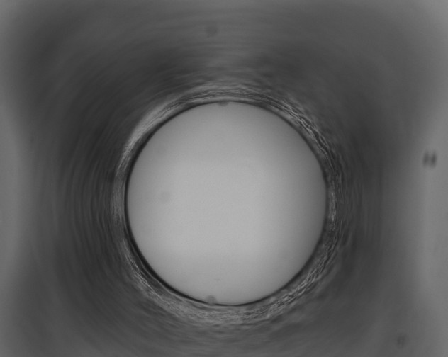X0000097810004200803140809