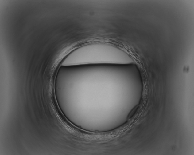 X0000097810005200803140809