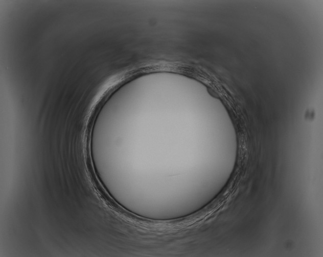 X0000097810006200803140809